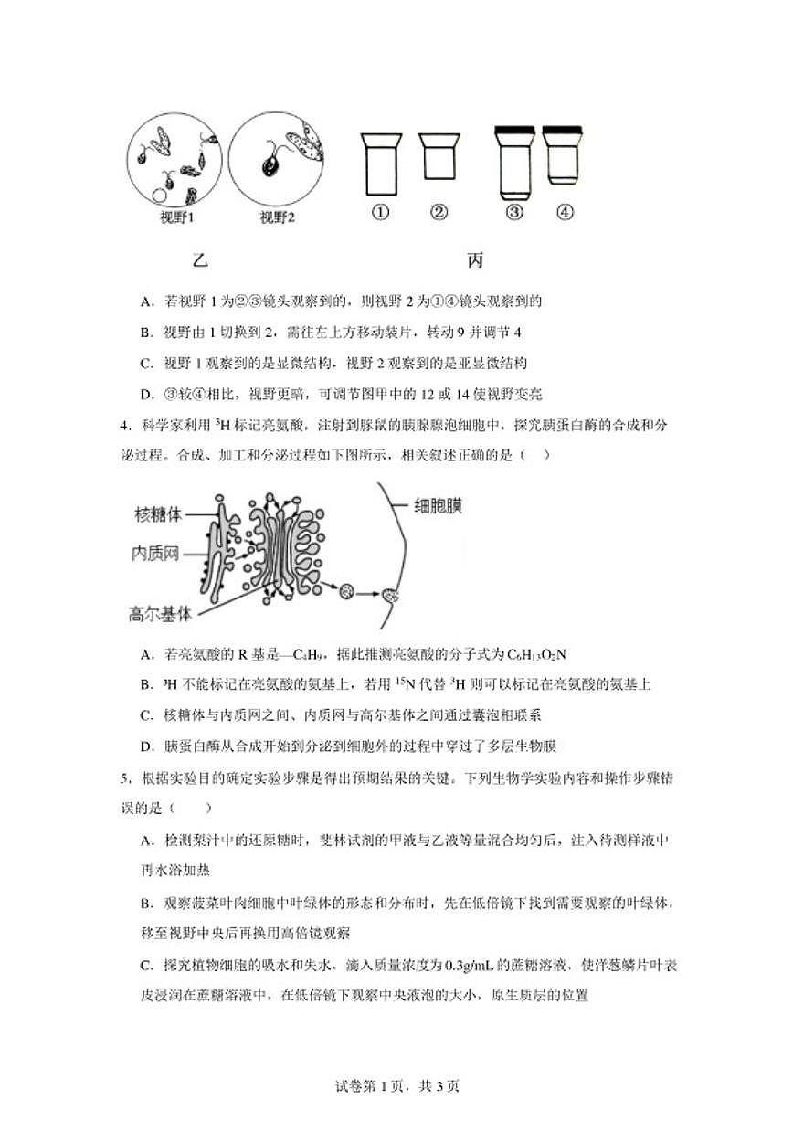 2025-2026学年湖南省岳阳市岳阳县第一中学高一上学期2月期末生物学试题（含答案）第2页