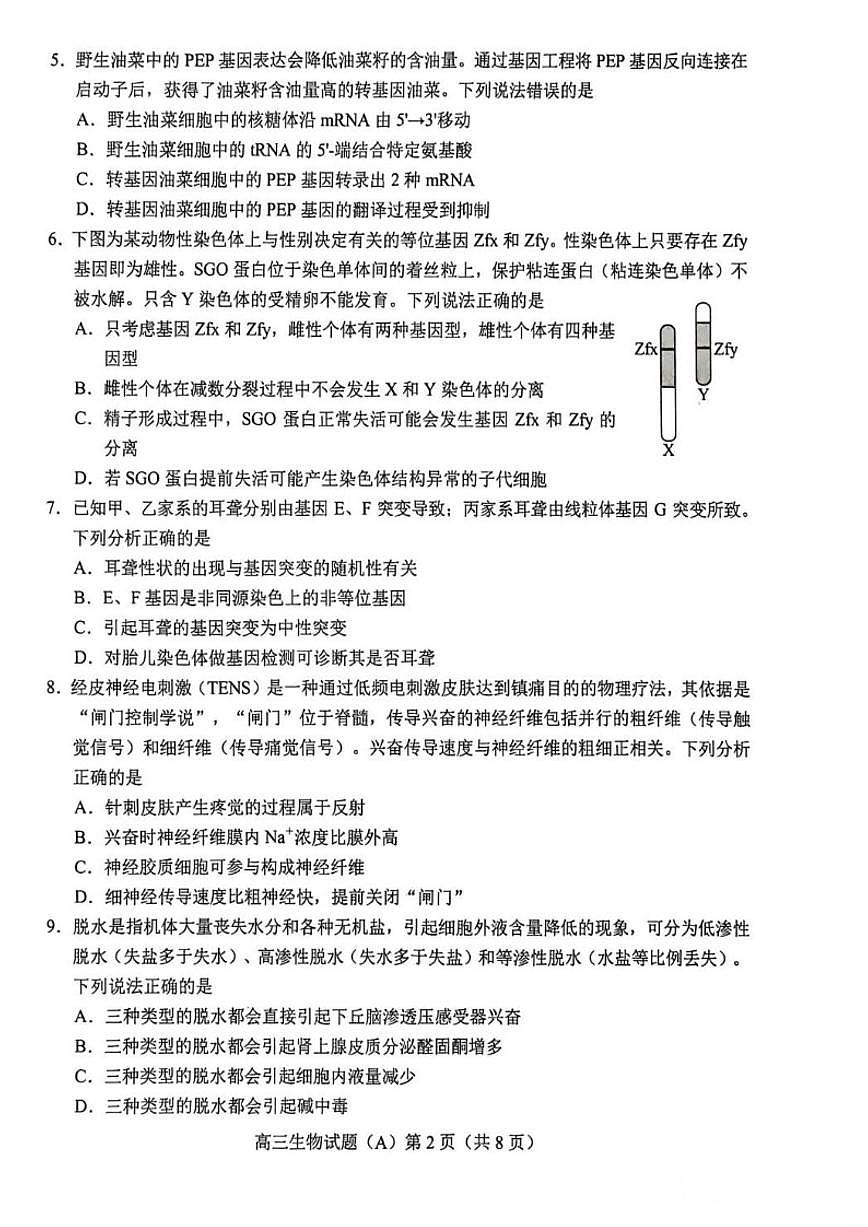 2025-2026学年山东省菏泽市东明县一中等校高三上学期2月期末生物学试题（含答案）第2页