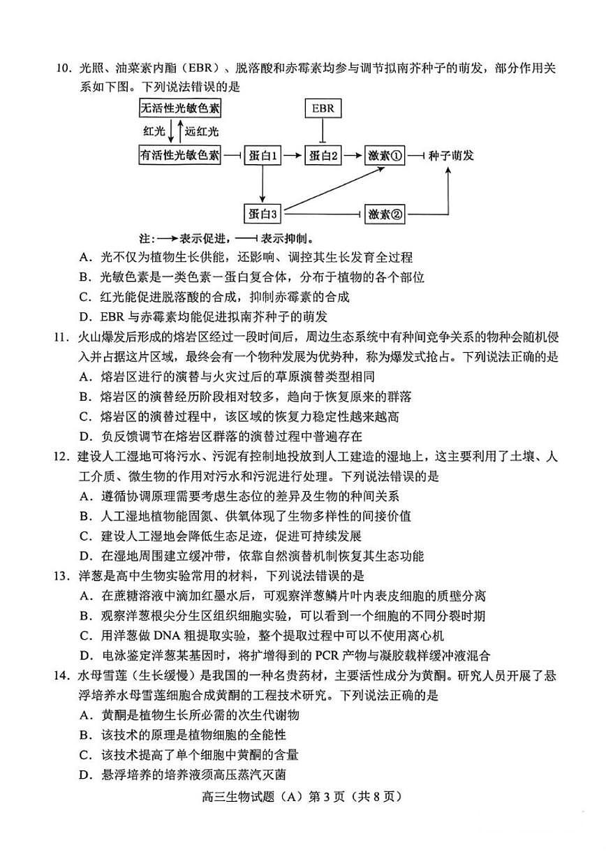 2025-2026学年山东省菏泽市东明县一中等校高三上学期2月期末生物学试题（含答案）第3页