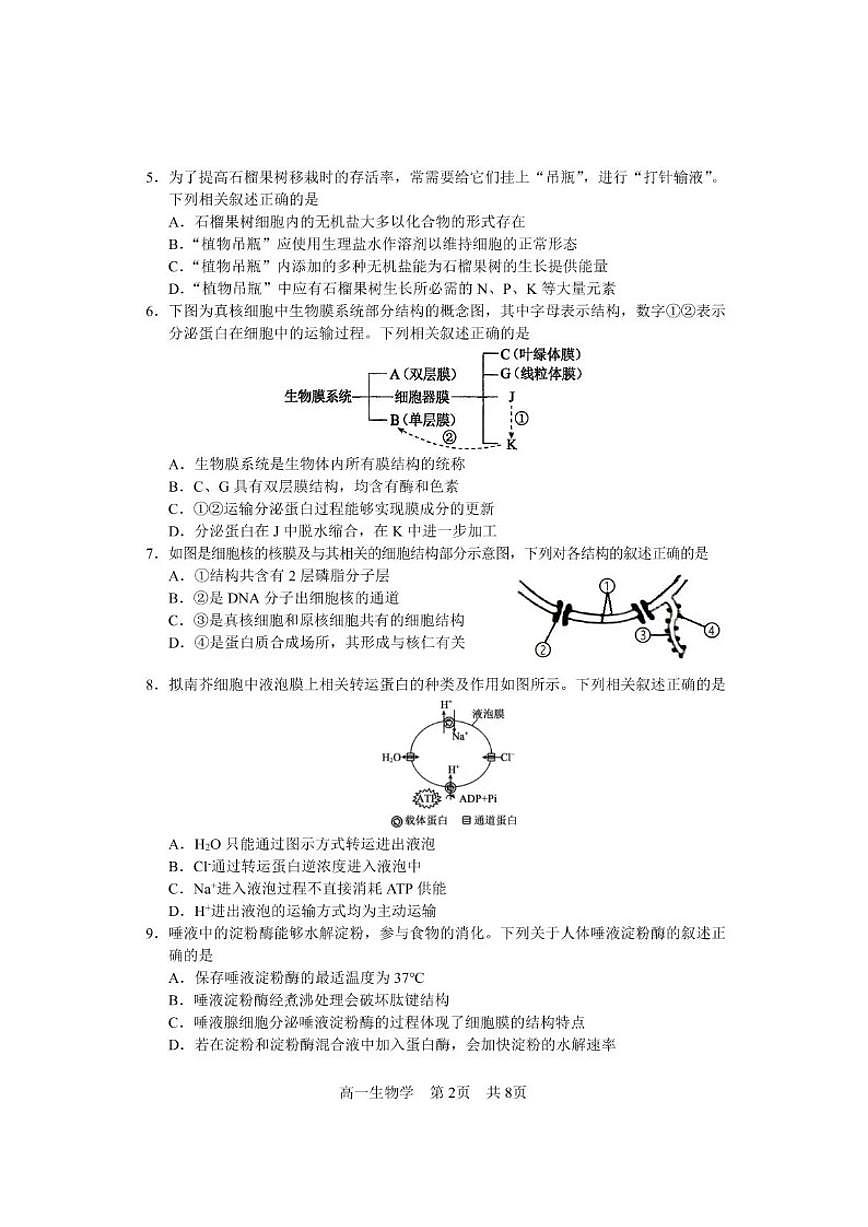 2025-2026学年四川省攀枝花市度高一（上）期末教学质量监测样卷生物学试卷（含答案）第2页