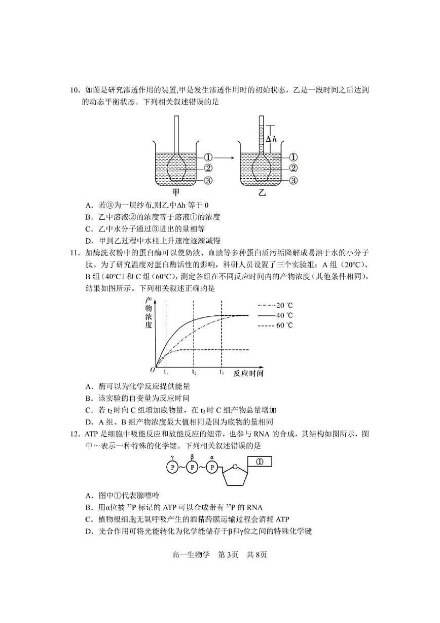 2025-2026学年四川省攀枝花市度高一（上）期末教学质量监测样卷生物学试卷（含答案）第3页