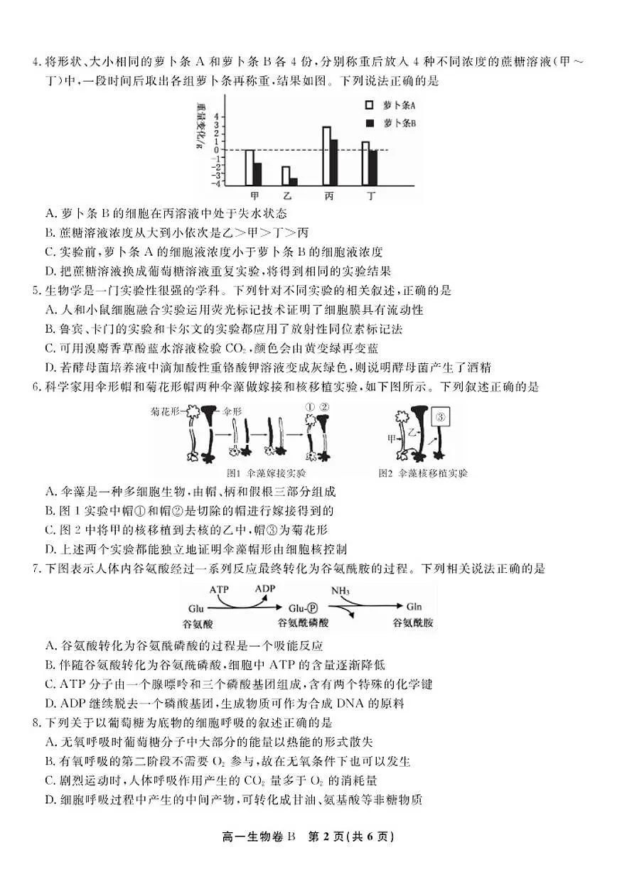 2025-2026学年安徽省皖江名校联盟上学期高一期末考试生物学B卷试卷（含解析）第2页