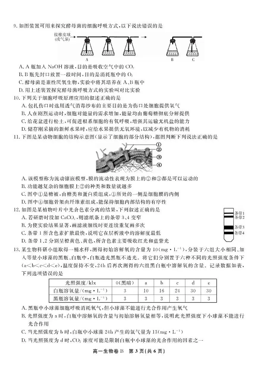 2025-2026学年安徽省皖江名校联盟上学期高一期末考试生物学B卷试卷（含解析）第3页