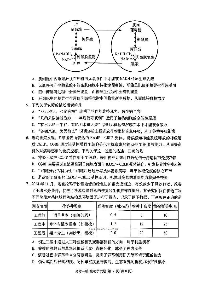 2026年九江市高考一模生物试题无答案第2页