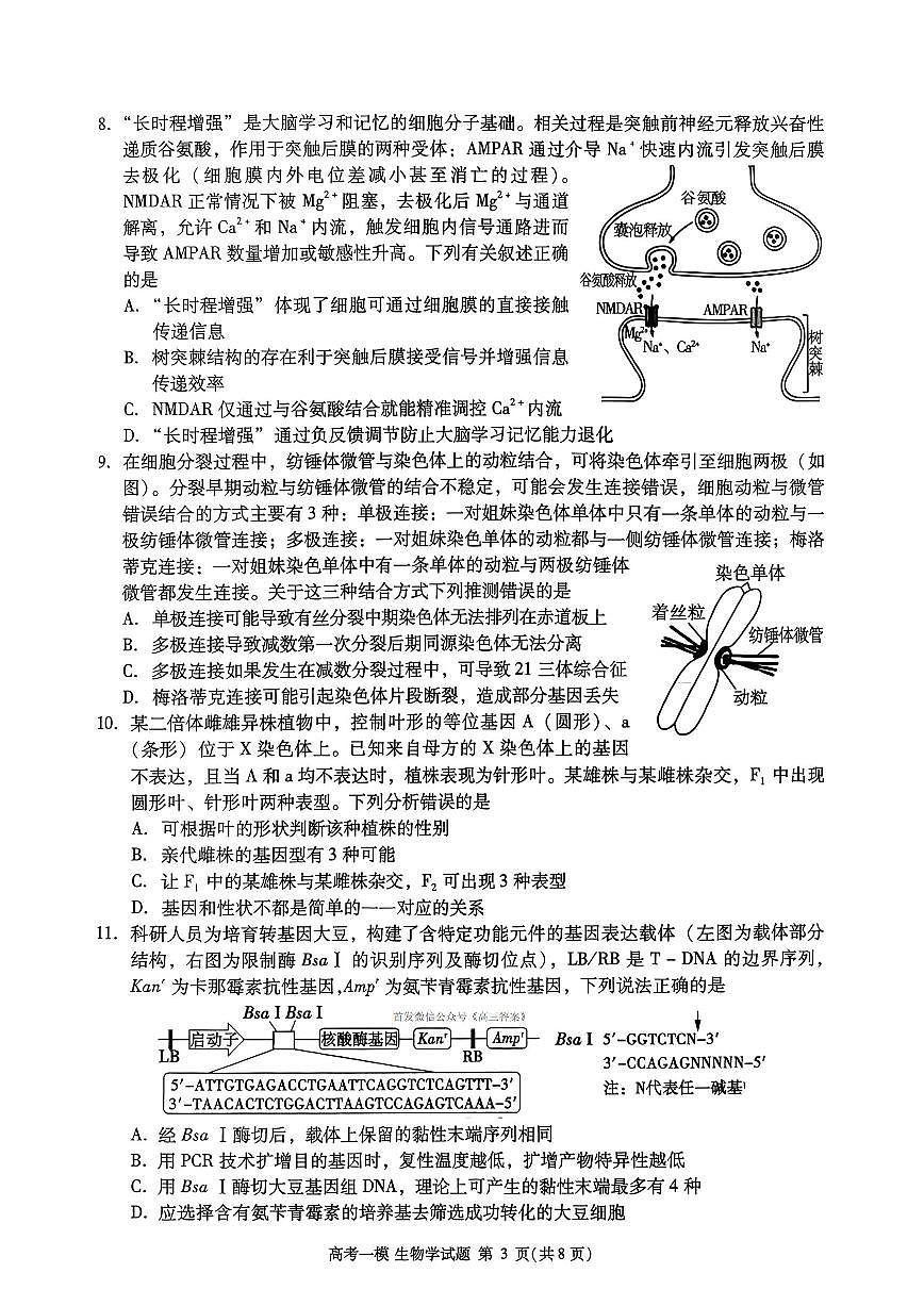 2026年九江市高考一模生物试题无答案第3页