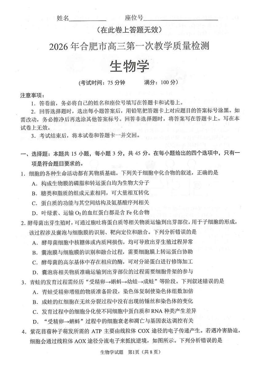 2026届安徽合肥市高三上一模教学质量检测生物试题（含答案）第1页