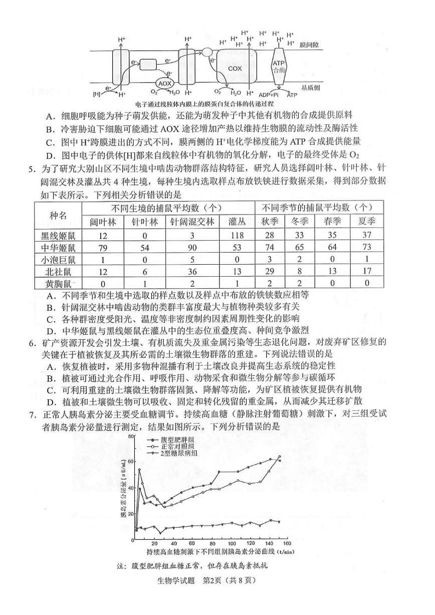 2026届安徽合肥市高三上一模教学质量检测生物试题（含答案）第2页