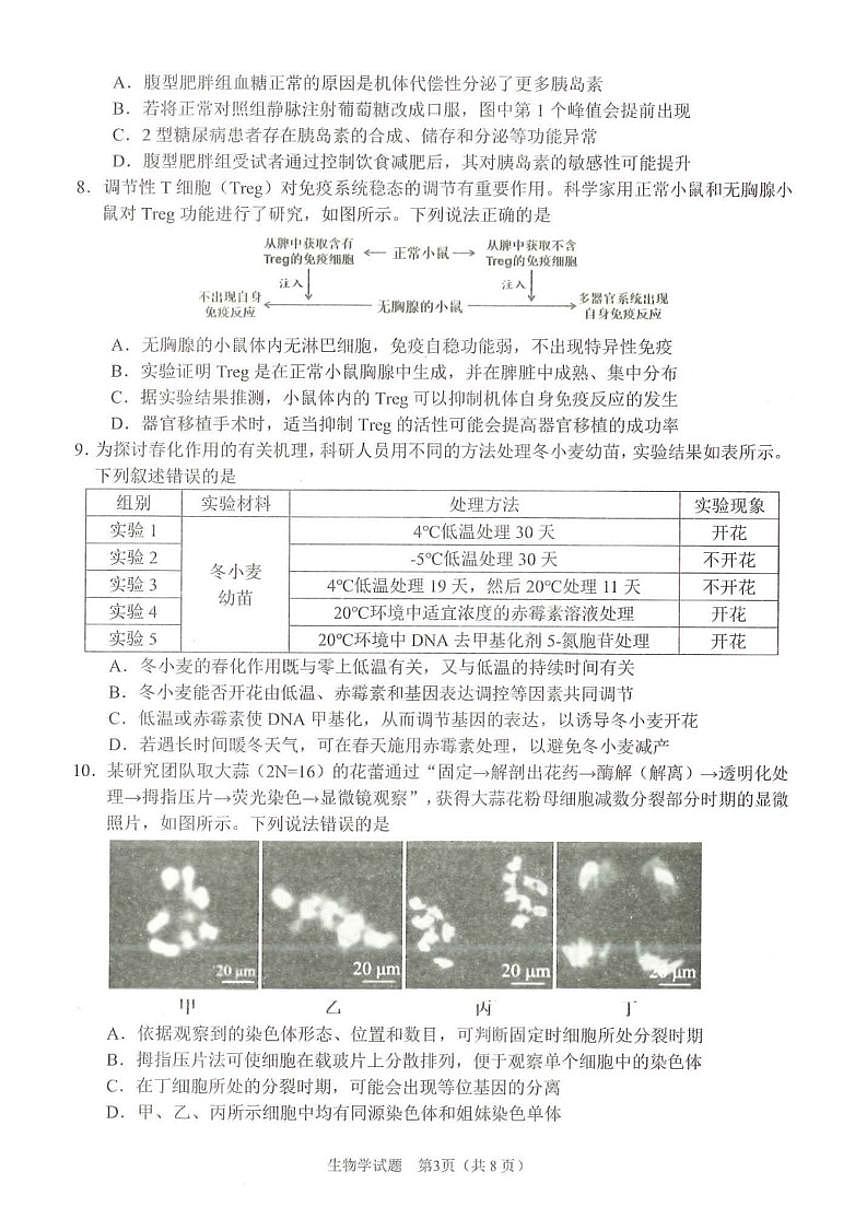 2026届安徽合肥市高三上一模教学质量检测生物试题（含答案）第3页