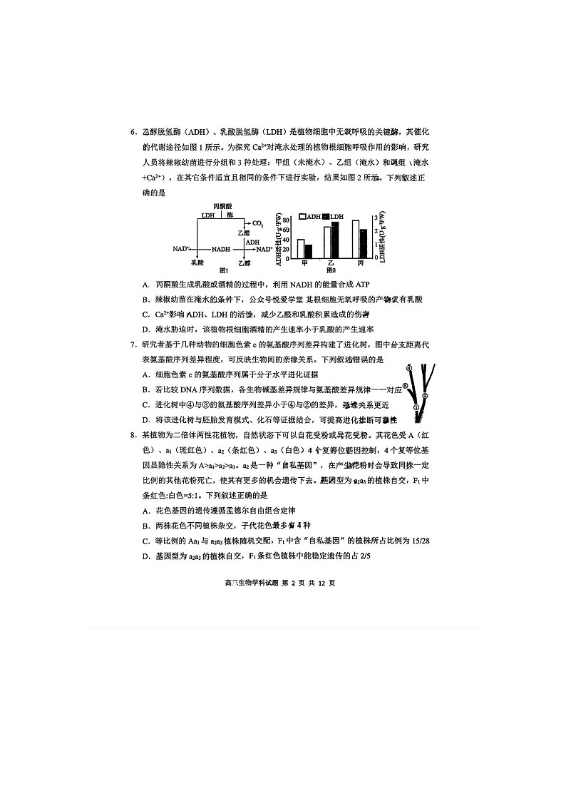 东北师大附中2025-2026学年高三上学期期末生物卷含答案第2页