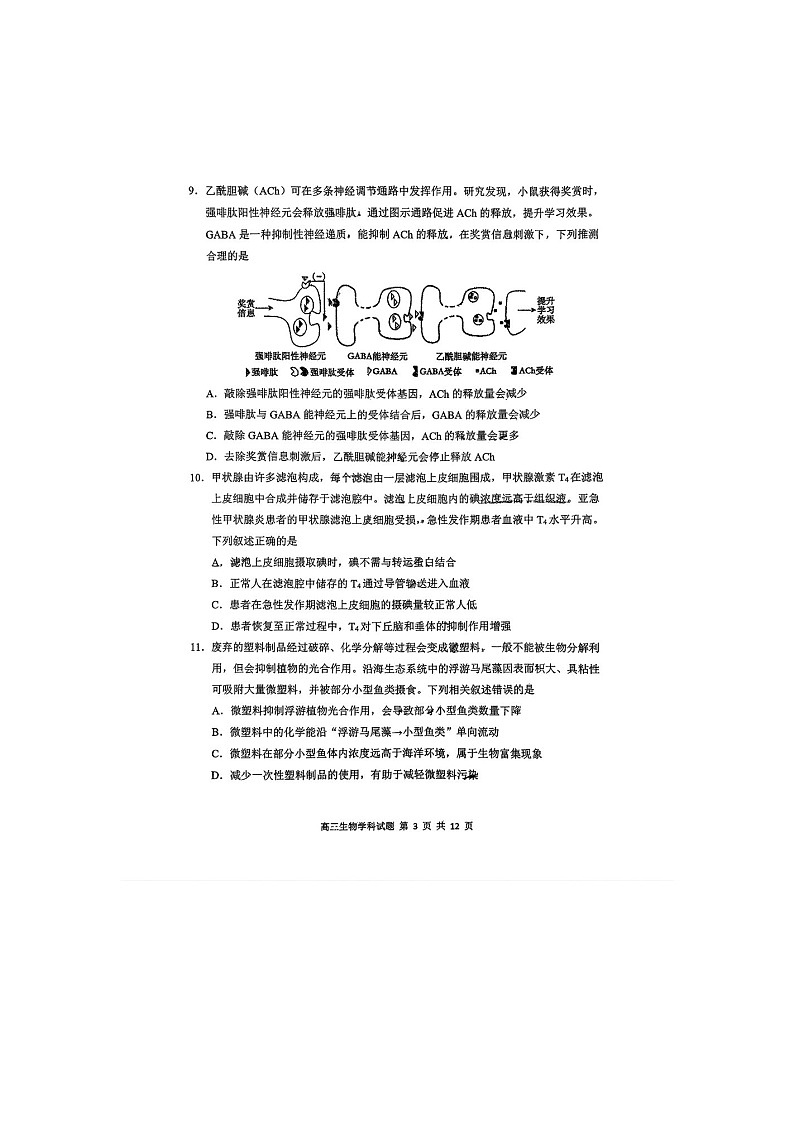 东北师大附中2025-2026学年高三上学期期末生物卷含答案第3页