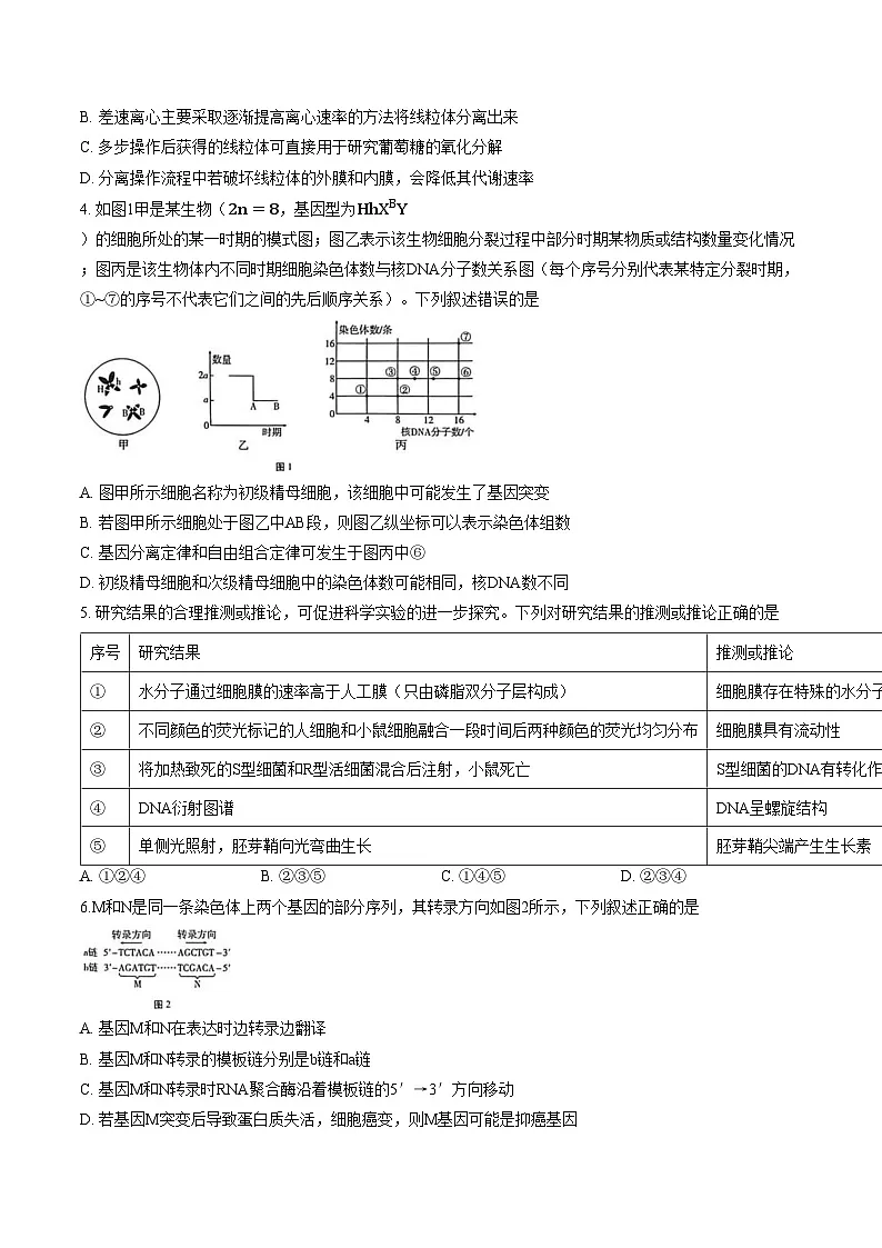 云南昆明市富民县2025_2026学年高二上学期2月期末生物试题（文字版，含答案）第2页
