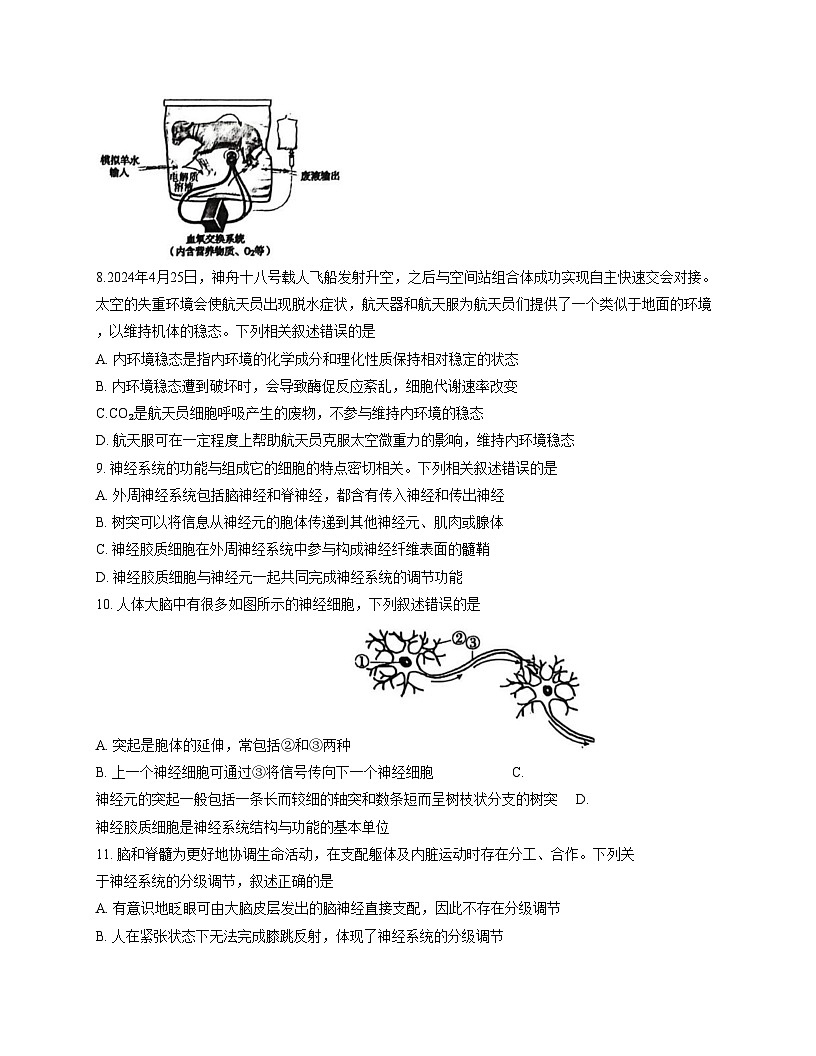 湖北省武汉市新洲区部分学校2025_2026学年高二上学期期中质量检测生物试卷（文字版，含答案）第3页