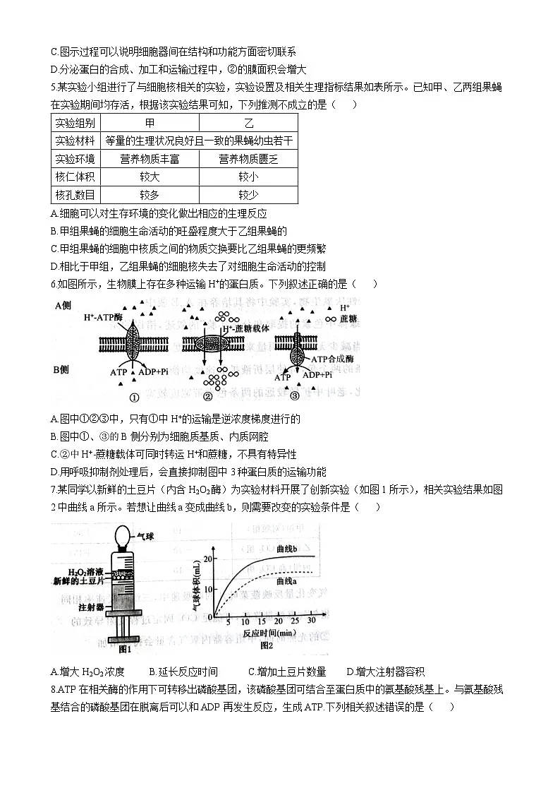 河北省石家庄市七县联合体联考2025-2026学年高一上学期1月月考生物试题含答案第2页