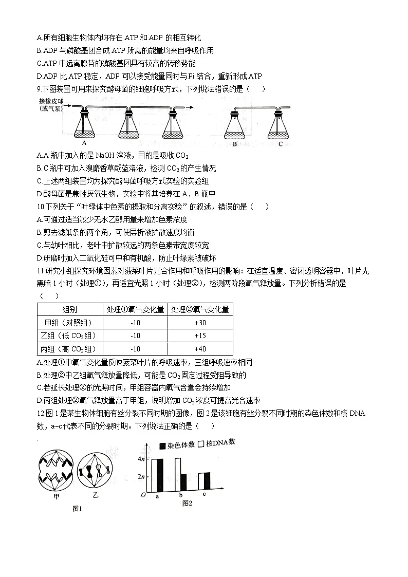 河北省石家庄市七县联合体联考2025-2026学年高一上学期1月月考生物试题含答案第3页