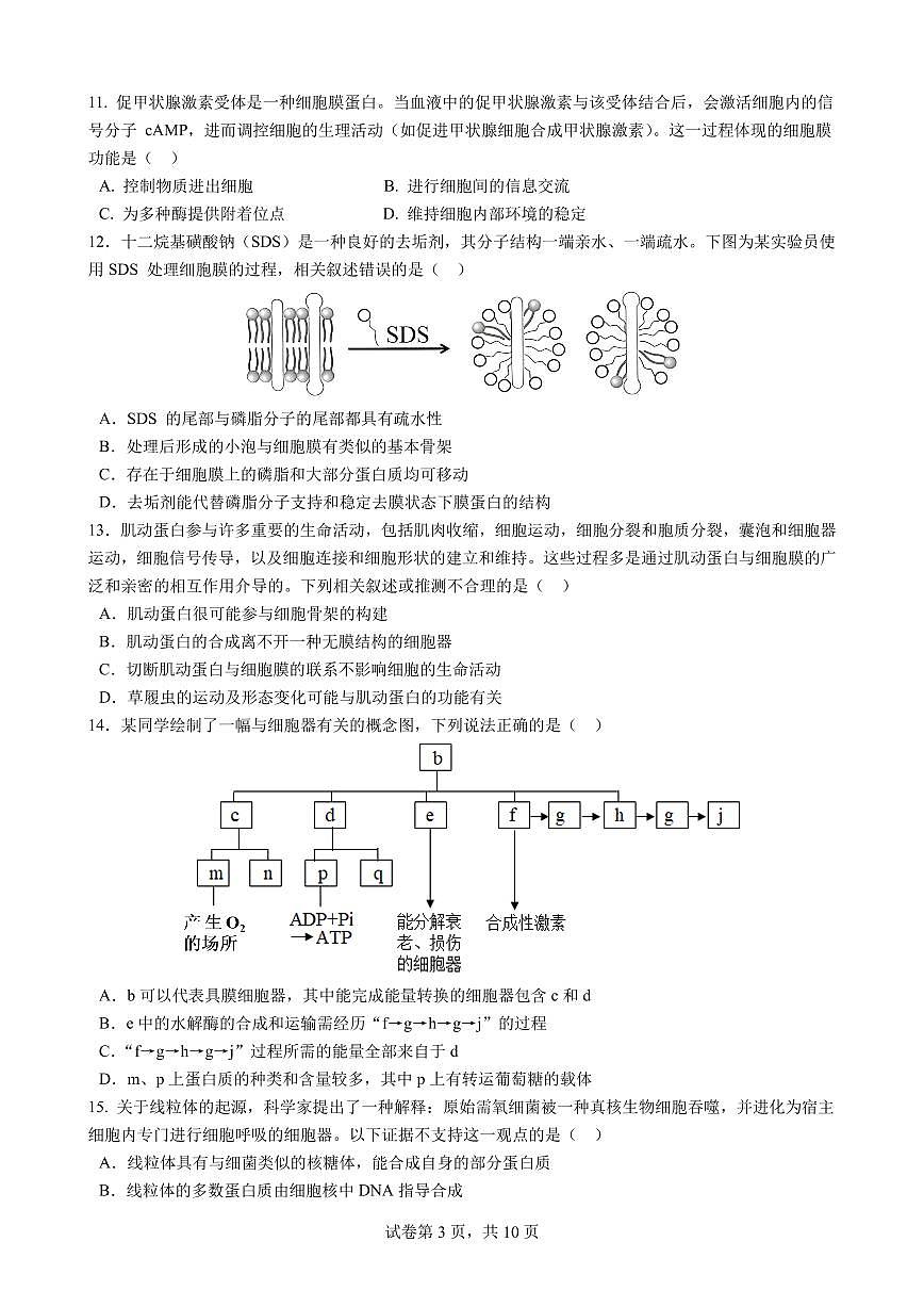 四川省成都市第七中学2025一2026学年度上期高一期末考试生物试卷（无答案）第3页