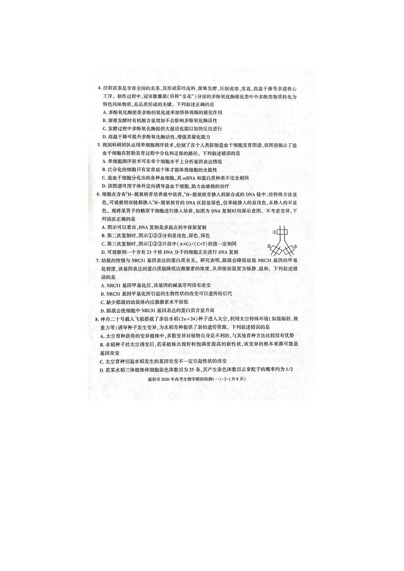 咸阳市2025-2026学年高三上学期模拟检测（一）生物卷含答案第2页