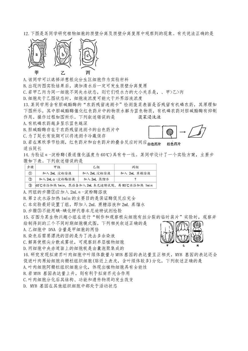 浙江省宁波市镇海中学2025—2026学年高一上学期期末考试生物试题（含答案）第3页