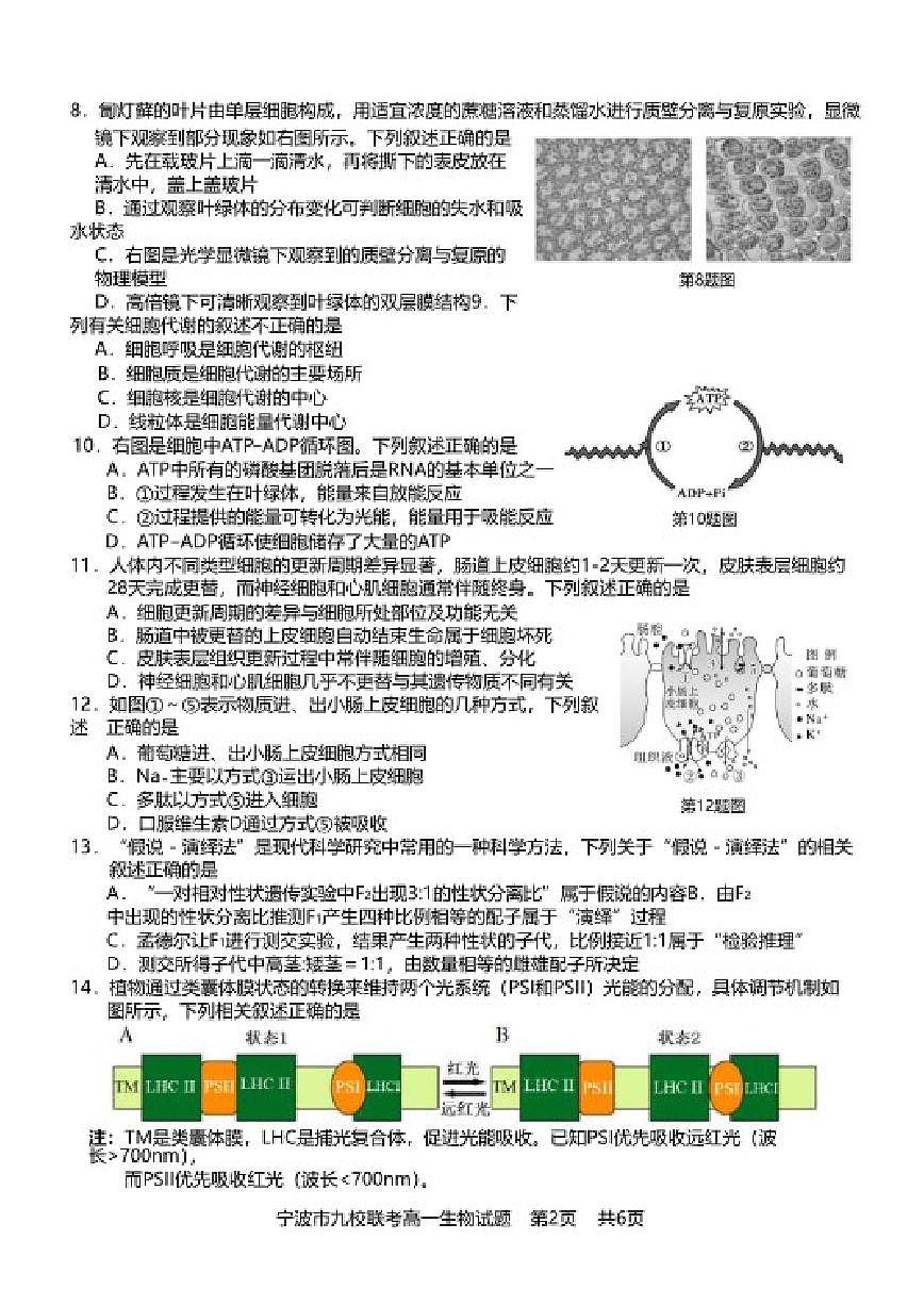 2025-2026学年浙江省宁波市九校联考高一上期末生物（含答案）试卷第2页