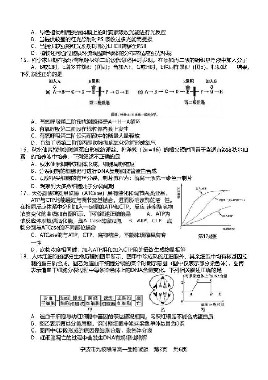 2025-2026学年浙江省宁波市九校联考高一上期末生物（含答案）试卷第3页