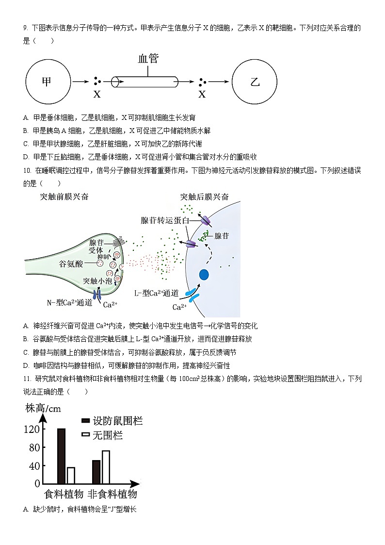 2025-2026学年黑龙江省研远联合考试高二上学期1月期末生物试卷（学生版）第3页