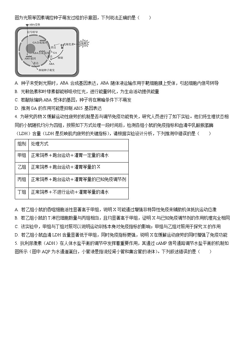 2025-2026学年黑龙江省智研联盟高二上学期1月期末生物试卷（学生版）第2页