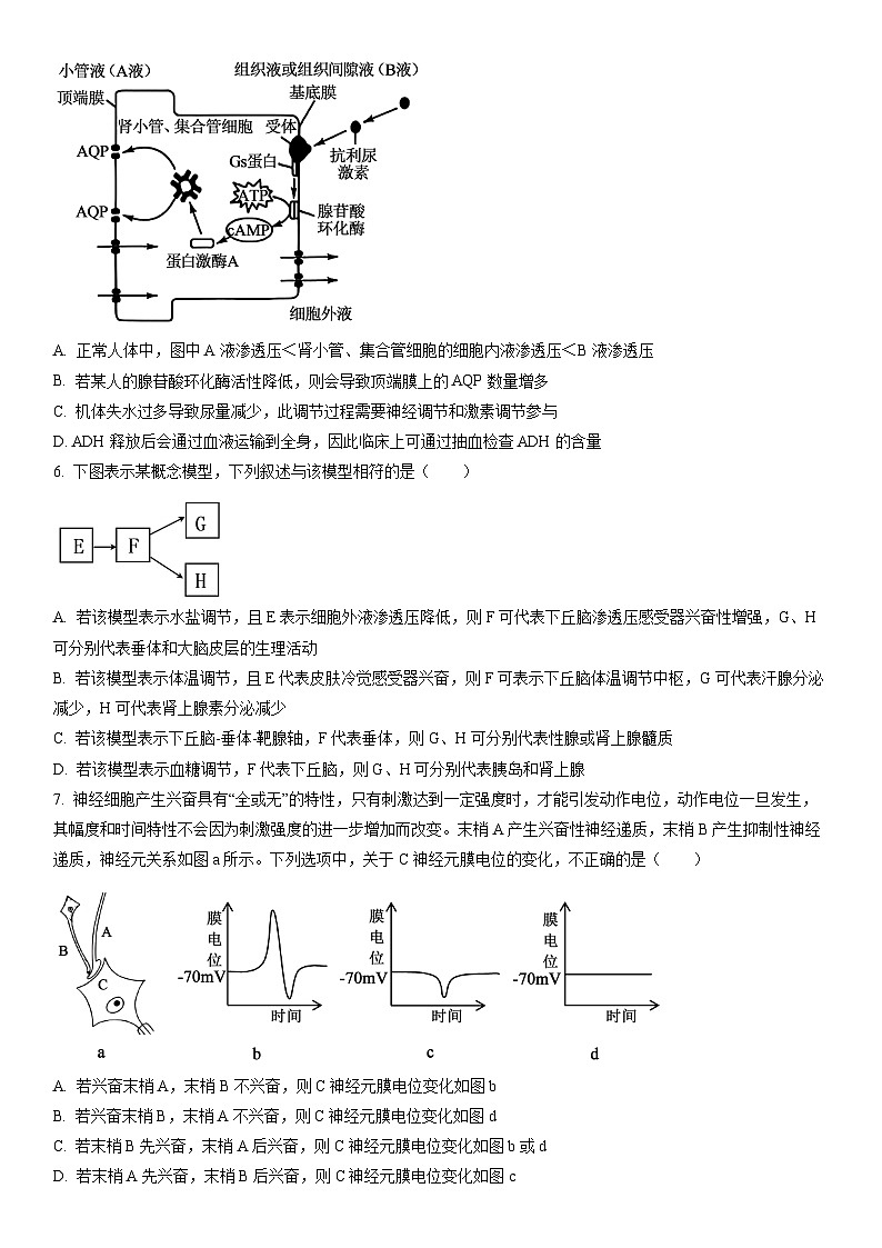 2025-2026学年黑龙江省智研联盟高二上学期1月期末生物试卷（学生版）第3页