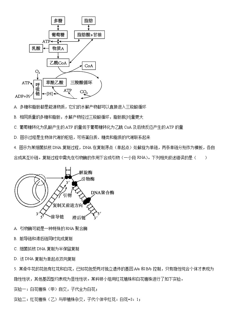 2025-2026学年辽宁省鞍山市部分高中高三上学期期末生物试卷（学生版）第2页