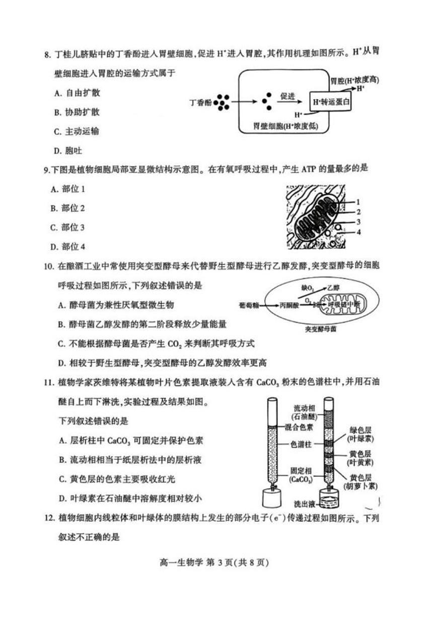 河南许昌市2025一2026学年第一学期期末质量检测高一生物学试卷（含答案）第3页