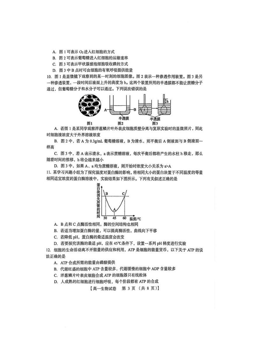 2025—2026学年河南三门峡市度上学期期末检测高一生物学（扫描版，含答案)试题第3页