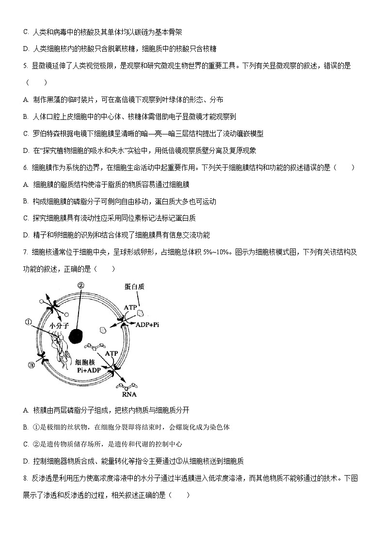 2025-2026学年辽宁省辽南协作体高一上学期期末生物试卷（学生版）第2页