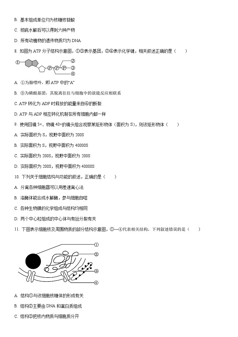 2025-2026学年辽宁省葫芦岛市高一上学期期末生物试卷（学生版）第2页