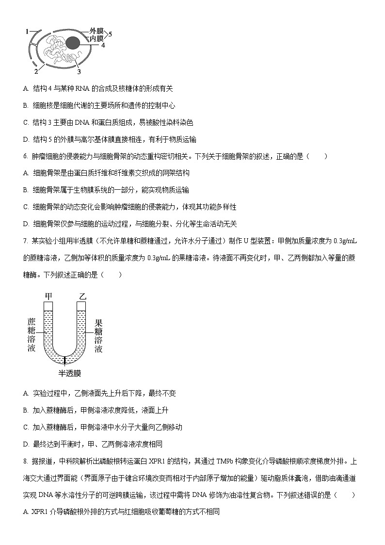 2025-2026学年甘肃省武威市天祝藏族自治县武威市普通高中教育联盟考试高一上学期1月期末生物试卷（学生版）第2页