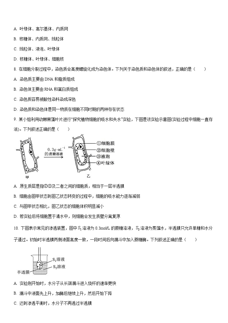 2025-2026学年甘肃省联考高一上学期1月期末生物试卷（学生版）第2页