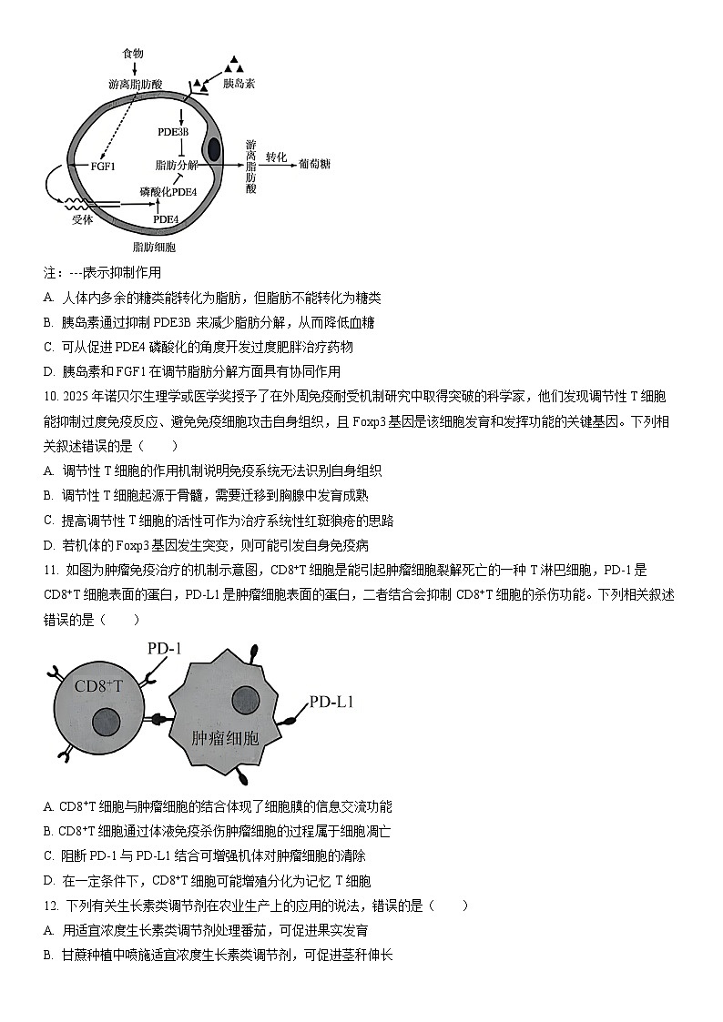 2025-2026学年海南省部分学校高二上学期1月期末生物试卷（学生版）第3页