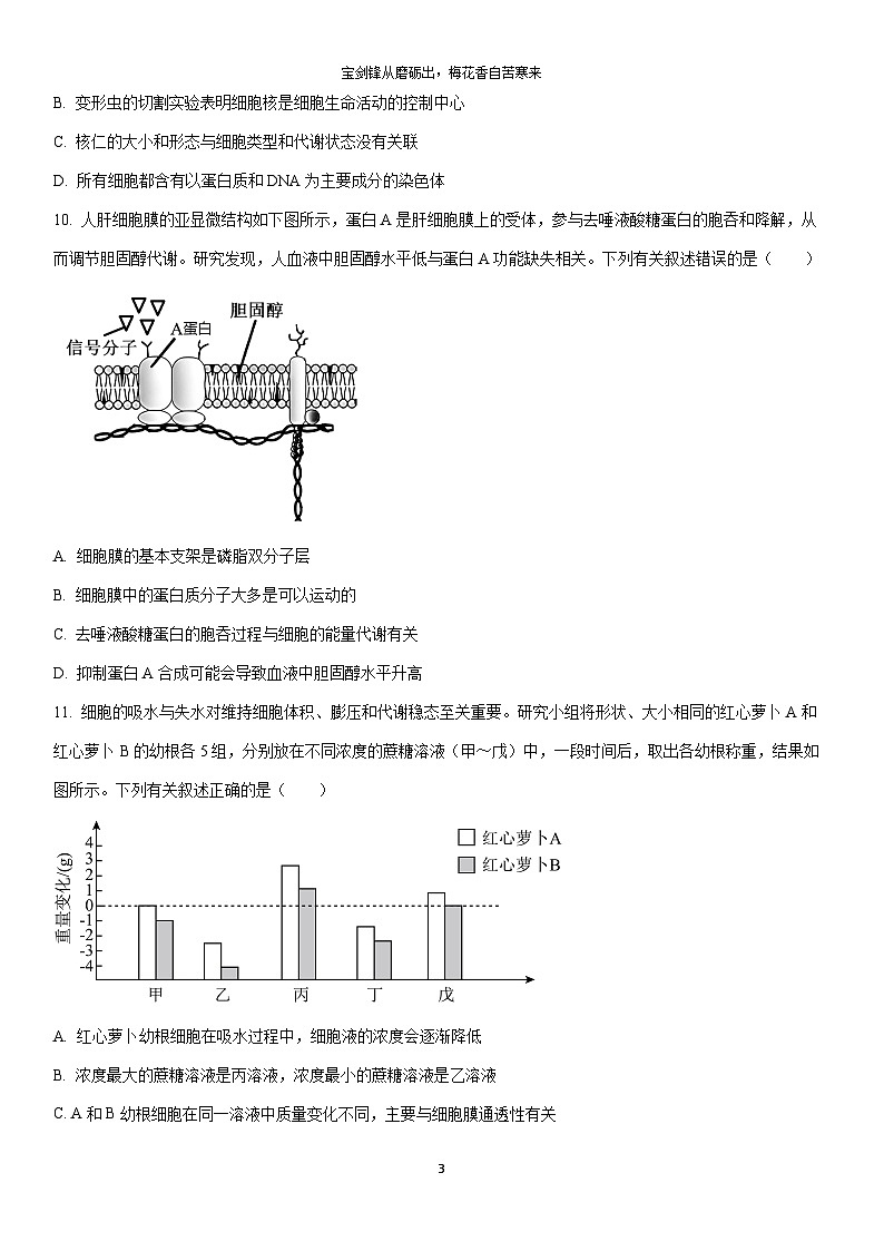2025-2026学年海南省部分学校高一上学期1月期末生物试卷（学生版）第3页