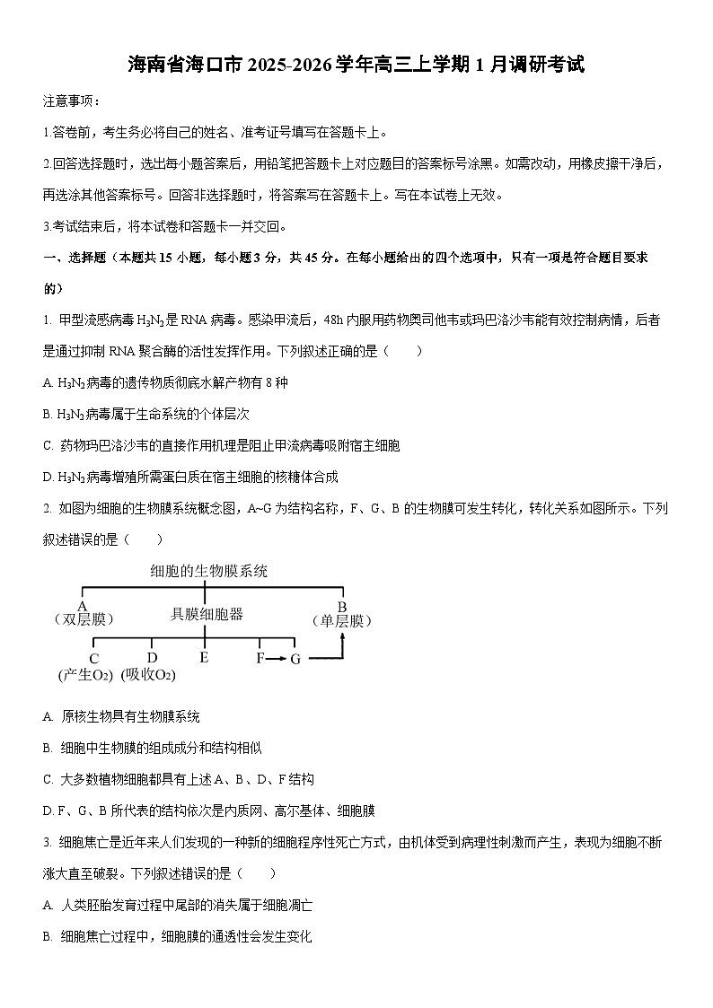 2025-2026学年海南省海口市高三上学期1月调研考试生物试卷（学生版）第1页
