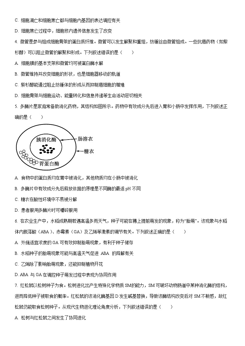 2025-2026学年海南省海口市高三上学期1月调研考试生物试卷（学生版）第2页