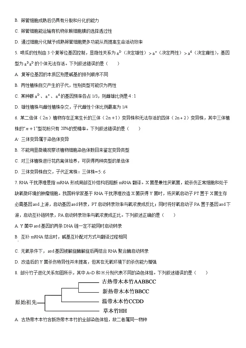 2025-2026学年河南省高三上学期期末质量检测生物试卷（学生版）第2页