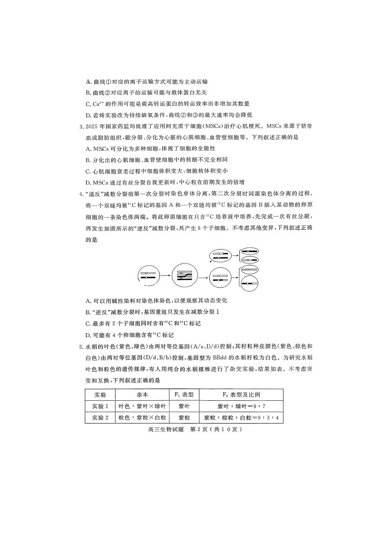 济宁市2025-2026学年高三上学期期末质检（济宁一模）生物卷含答案第2页