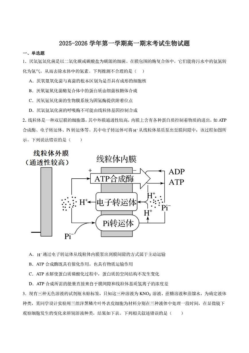 2025-2026学年内蒙古自治区鄂尔多斯市第一中学高一上学期期末考试生物学试卷（含答案）第1页