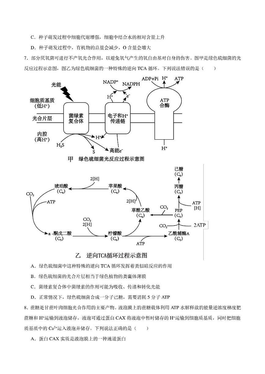 2025-2026学年内蒙古自治区鄂尔多斯市第一中学高一上学期期末考试生物学试卷（含答案）第3页