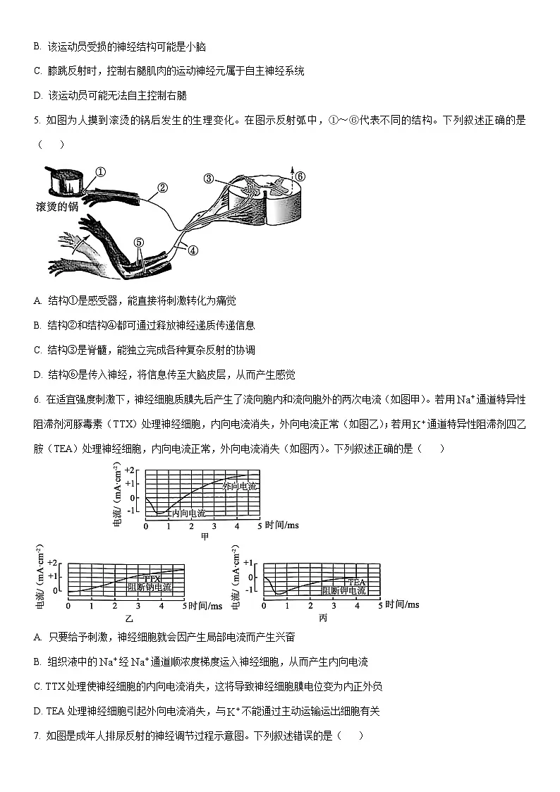 2025-2026学年河南省TOP20名校大联考高二上学期12月月考生物试卷（学生版）第2页