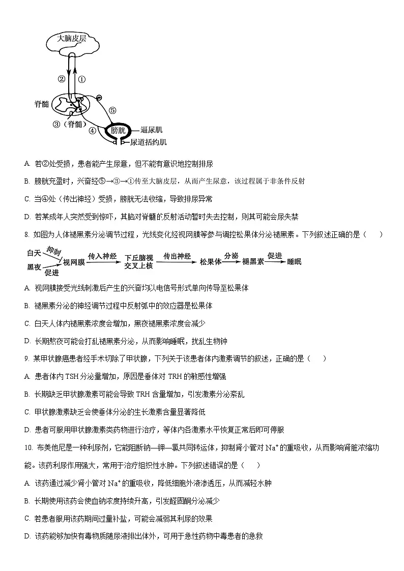 2025-2026学年河南省TOP20名校大联考高二上学期12月月考生物试卷（学生版）第3页