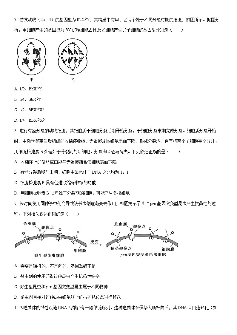 2025-2026学年河北省邢台市高三上学期第三次月考生物试卷（学生版）第3页