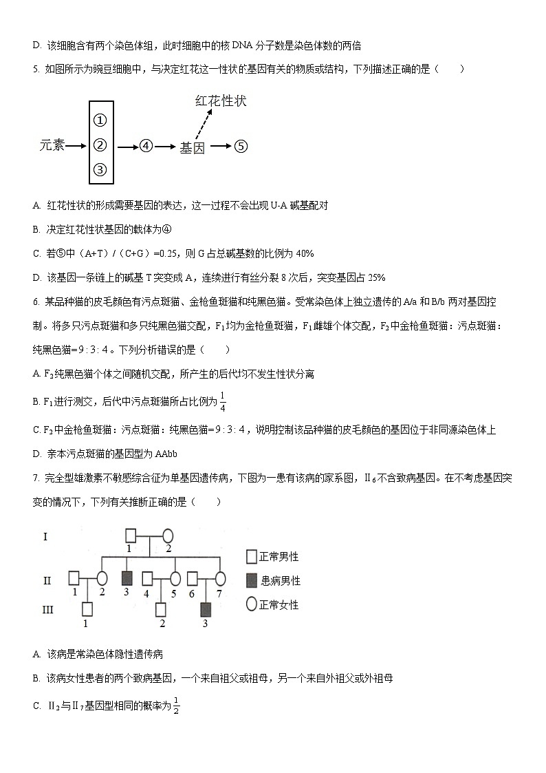 2025-2026学年河北省邢台市部分学校高三上学期1月月考生物试卷（学生版）第2页