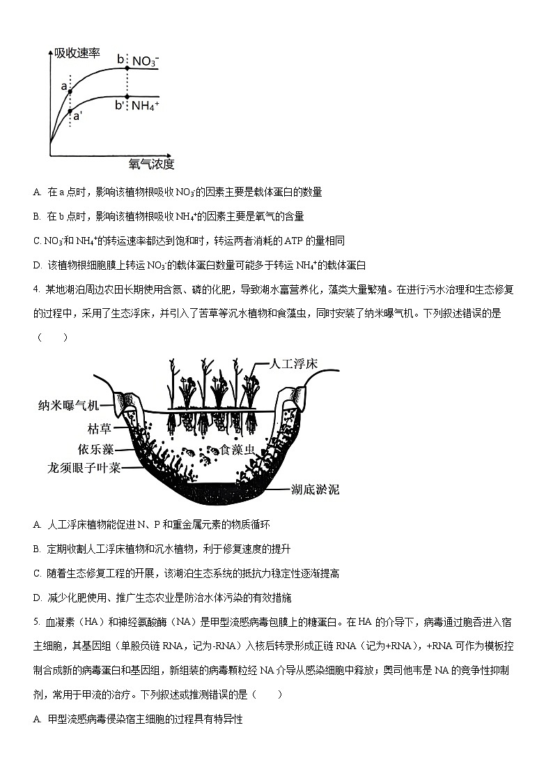 2025-2026学年江西省部分高中高三上学期1月联考生物试卷（学生版）第2页