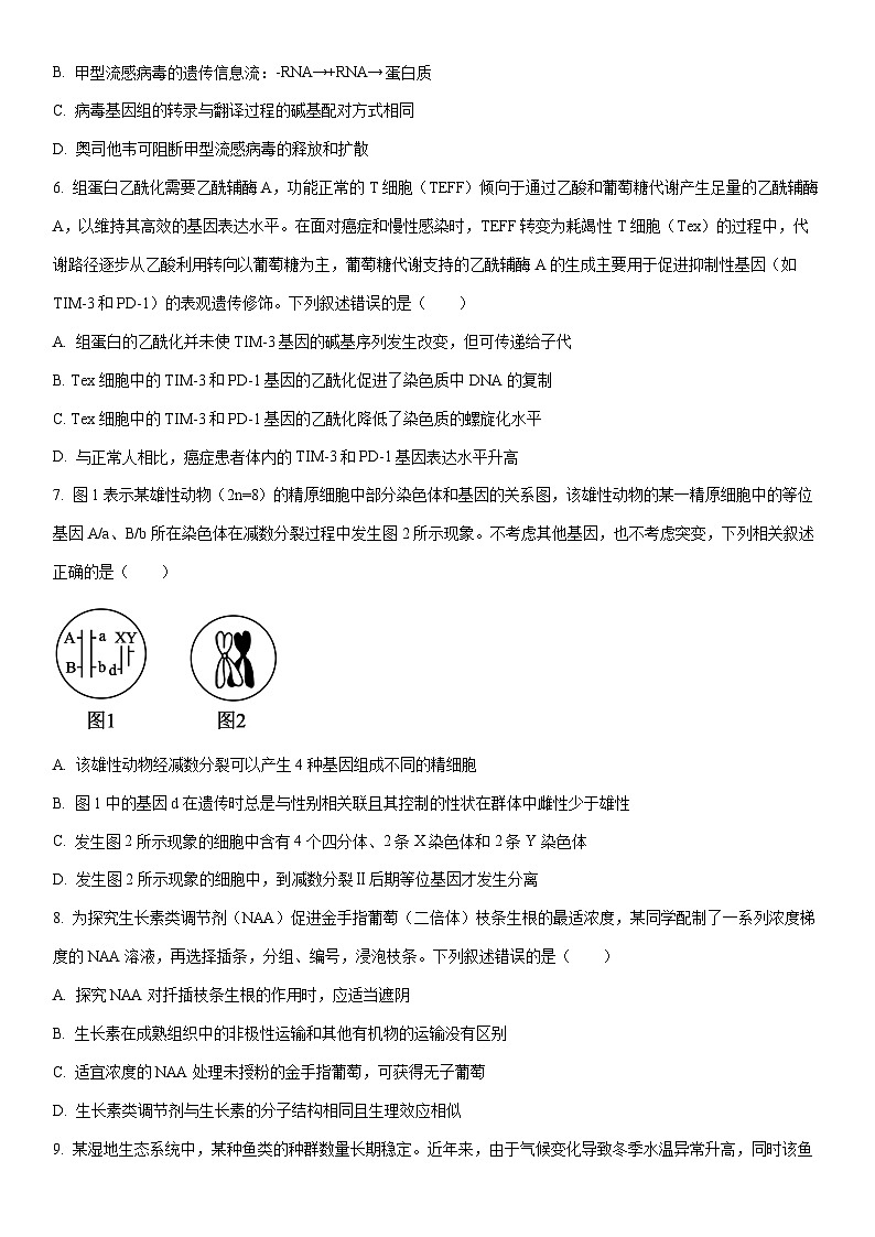 2025-2026学年江西省部分高中高三上学期1月联考生物试卷（学生版）第3页