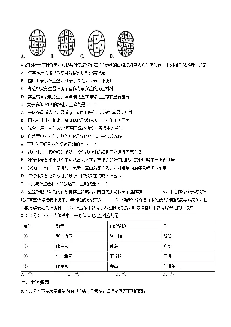 2025-2026学年山西省临汾部分学校高一上学期生物期末综合测试试题及答案第2页