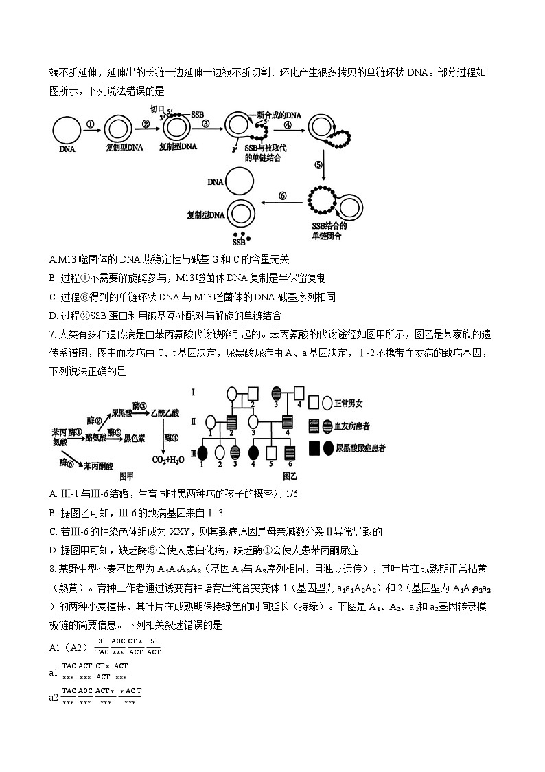 河南省三门峡市2025-2026学年上学期期末高三生物试卷及答案第3页