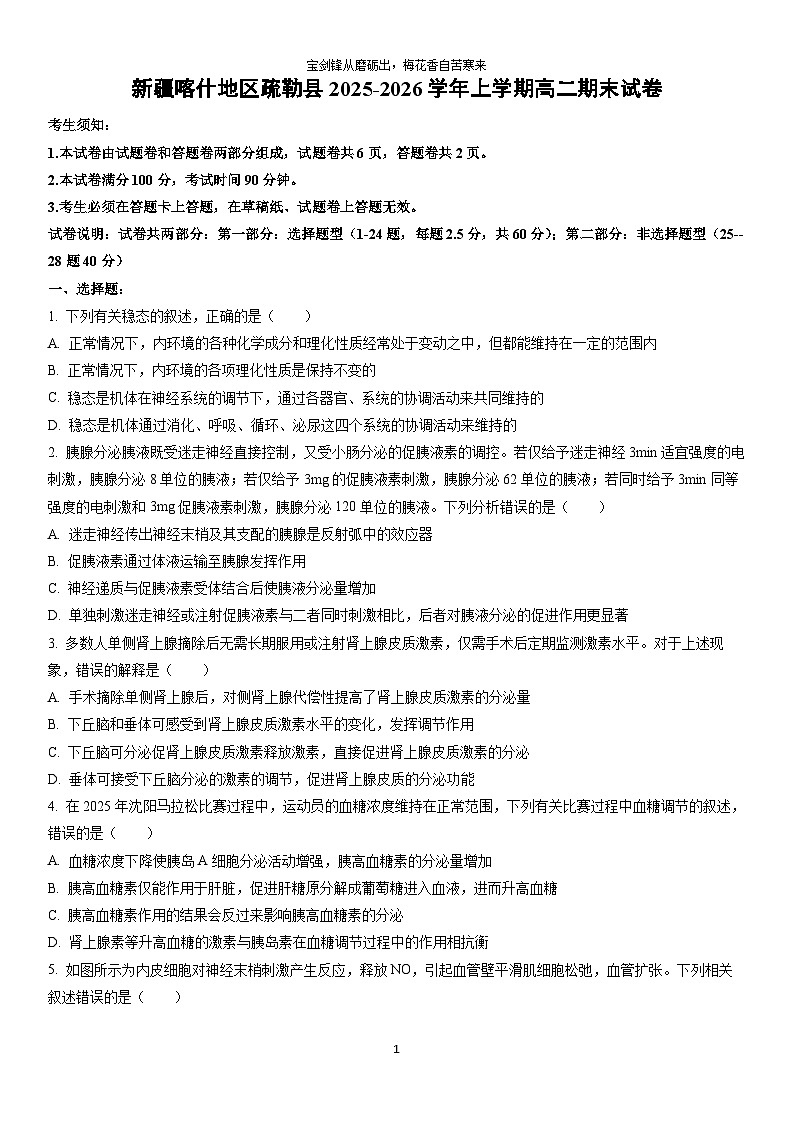 2025-2026学年新疆喀什地区疏勒县上学期高二期末生物试卷（学生版）第1页